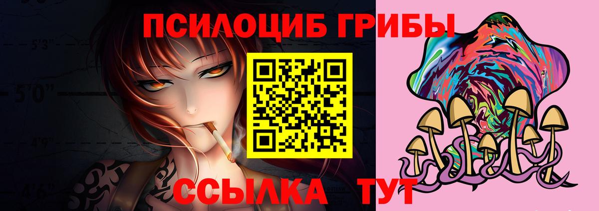 Псилоцибиновые грибы Psilocybe  Вход с VPN  Егорьевск 
